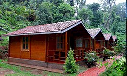 Eco-Lodges